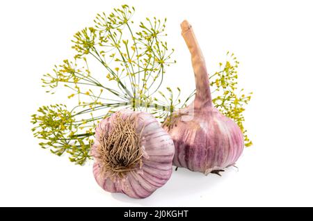 Aglio e un rametto di aneto su sfondo bianco con ombra morbida Foto Stock