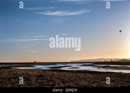 La laguna salina alla riserva naturale di Rye Harbour, East Sussex, Inghilterra Foto Stock