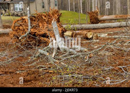 Abbattitori foresta di compensazione con terreno di preparazione per nuove case Foto Stock