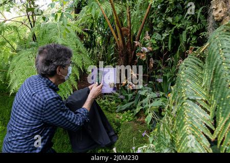 New York, NY - 19 marzo 2022: Le persone visitano lo spettacolo annuale delle orchidee primaverili al Giardino Botanico di New York Foto Stock