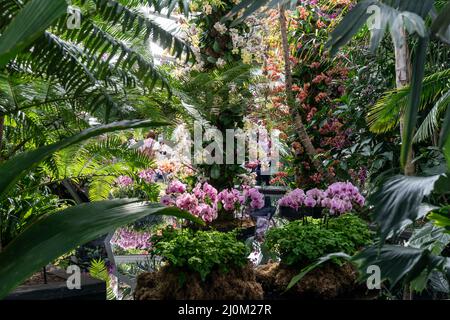 New York, NY - 19 marzo 2022: Le persone visitano lo spettacolo annuale delle orchidee primaverili al Giardino Botanico di New York Foto Stock