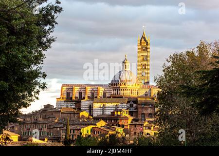 Cattedrale di Siena Duomo Foto Stock