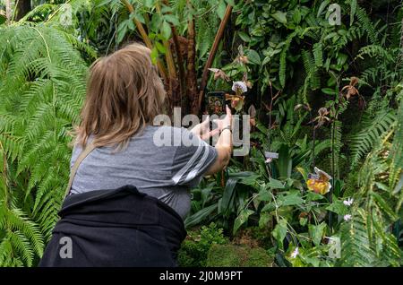 La gente visita lo spettacolo annuale delle orchidee primaverili al Giardino Botanico di New York. Lo spettacolo di quest'anno è stato creato dal designer Jeff Leatham, famoso direttore artistico del Four Seasons Hotel George V di Parigi e designer floreale per le stelle. Lo spettacolo si chiama caleidoscopio di Jeff Leatham. Le persone che entrano nel Conservatorio sono ancora consigliate di indossare maschere a causa della pandemia COVID-19. Gli spettacoli di Orchid sono stati cancellati per due anni a causa di una pandemia e sono ritornati in pieno swing quest'anno. (Foto di Lev Radin/Pacific Press) Foto Stock