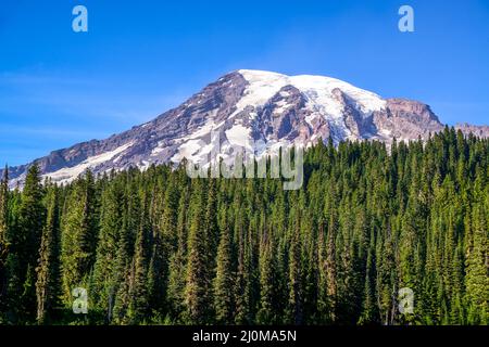 Maestoso manto nevoso del Monte Rainier, Washington-USA Foto Stock