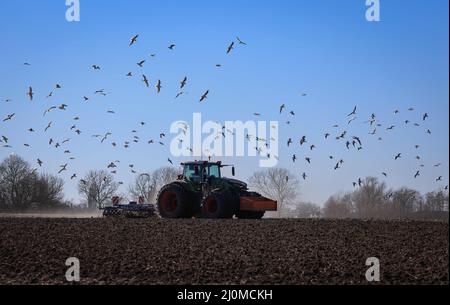 Panker, Germania. 11th Mar 2022. Un agricoltore scava un campo a Gut Schmoel e lo prepara per la semina. Le aree agricole del nord sono perlopiù attraversate dal pozzo invernale, e ora è in corso la coltivazione primaverile. Credit: Christian Charisius/dpa/Alamy Live News Foto Stock