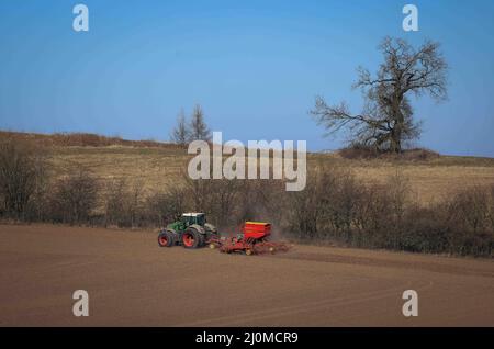 Panker, Germania. 11th Mar 2022. Un agricoltore è occupato a seminare avena in un campo vicino a Gut Panker. Le aree agricole del nord sono perlopiù attraversate dal pozzo invernale, e ora è in corso la coltivazione primaverile. Credit: Christian Charisius/dpa/Alamy Live News Foto Stock