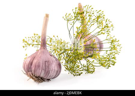 Aglio e un rametto di aneto su sfondo bianco con ombra morbida Foto Stock