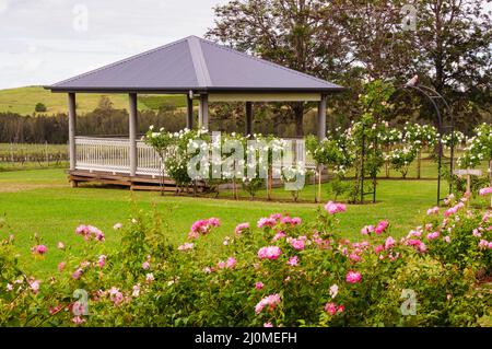 Gazebo nel giardino di rose di Wynwood Estate - Pokolbin, nuovo Galles del Sud, Australia Foto Stock