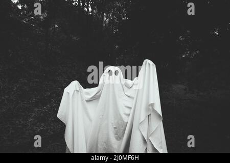 Fantasma cupo con mani che si alzano in piedi foresta Foto Stock