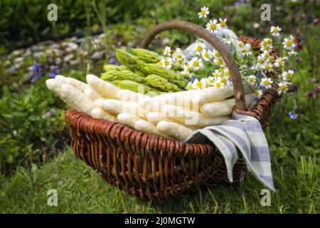 Asparagi freschi bianchi e verdi come primo piano in un cestino all'aperto in erba Foto Stock