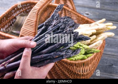 Asparagi puri freschi e crudi, in mano a manâ, offerti come primo piano Foto Stock