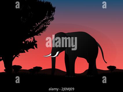 Immagine della silhouette elefante nero a piedi con montagna e tramonto sfondo sera luce vettore Illustrazione Illustrazione Vettoriale