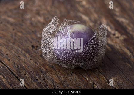 Frutta tomatillo matura su legno Foto Stock