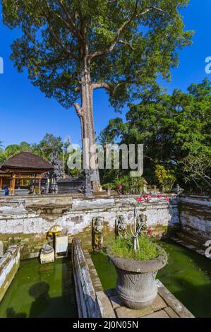 Tempio Pura Gua Gajah - isola di Bali Indonesia Foto Stock