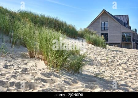 Zeeland, Olanda - 21 settembre 2021: Beach club sulla spiaggia dei Paesi Bassi. Ristorante e negozio di aquiloni sulla duna nella sabbia. Edificio Brouw su th Foto Stock