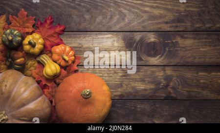 Composizione zucche mature foglie d'autunno Foto Stock