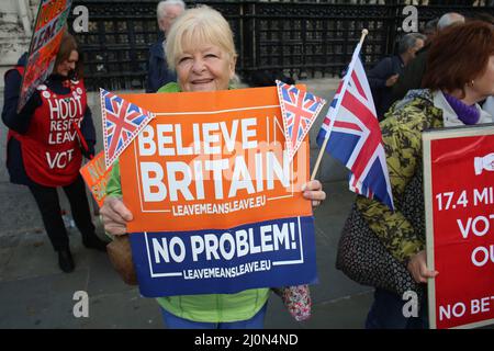 Un congedo significa lasciare una protesta al parlamento di Westminster, Londra, contro l'approccio del governo di lasciare l'UE. La necessità di credere in Gran Bretagna w Foto Stock