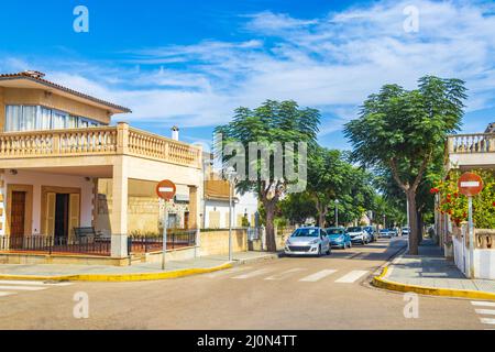 Tipiche auto stradali palme edifici possono Picafort sulla Spagna. Foto Stock