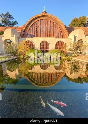 Balboa Park, edificio botanico e stagno a San Diego, California USA Foto Stock