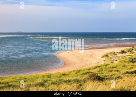 Alta marea a Budle Point a Budle Bay con Holy Island all'orizzonte, Northumberland Coast Path, Inghilterra Foto Stock