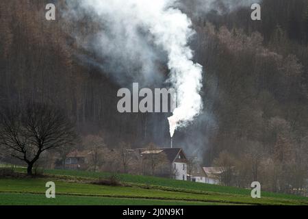 Riscaldamento a legna privato, Germania, Europa Foto Stock