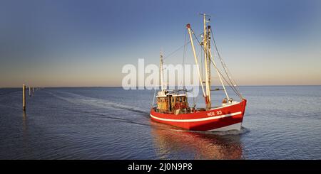 Taglierina per gamberetti di fronte all'ingresso del porto di Neuharlingersiel, bassa Sassonia, Germania, Europa Foto Stock