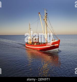 Taglierina per gamberetti di fronte all'ingresso del porto di Neuharlingersiel, bassa Sassonia, Germania, Europa Foto Stock