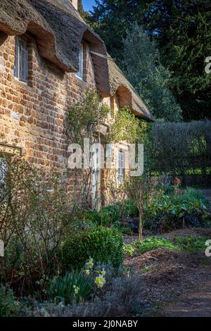 Cottage con il tetto di paglia nel villaggio Costwold di grande Tew, Oxfordshire, England, Regno Unito Foto Stock