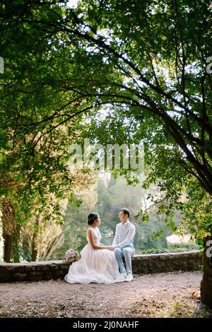 La sposa e lo sposo seduti tenendo le mani sotto il lussureggiante cespuglio nell'uliveto Foto Stock