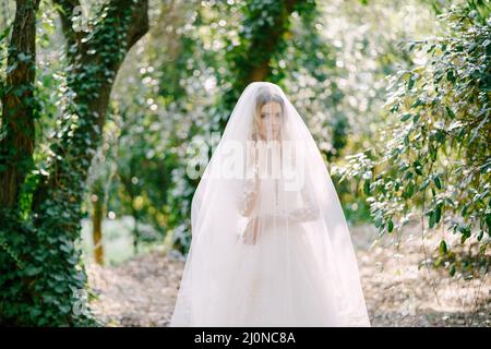 Sposa in un vestito di pizzo bianco, coperto da un velo, sorge tra gli alberi ricoperti di edera Foto Stock