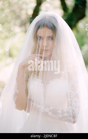 Sposa in un abito in pizzo bianco ricoperto da un velo. Verticale Foto Stock