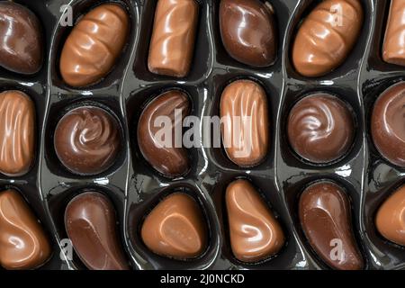 Vista dall'alto ravvicinata di varie praline al cioccolato Foto Stock