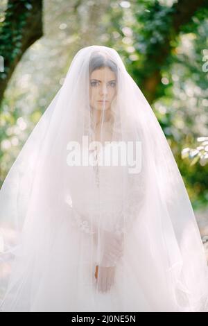 Sposa in un abito in pizzo bianco con velo si erge sullo sfondo degli alberi Foto Stock