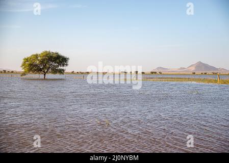 Paesaggio umido inusuale con un lago di livello basso in Mauritania Foto Stock