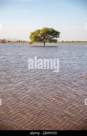 Paesaggio umido inusuale con un lago di livello basso in Mauritania Foto Stock