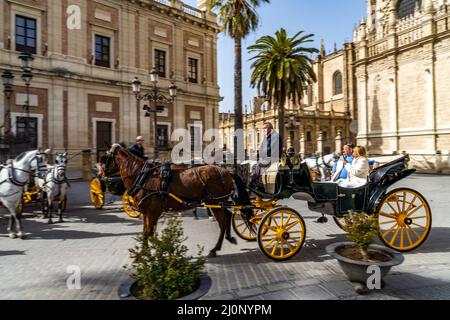 Pferdekutsche mit Touristen in der Altstadt von Sevilla Andalusien, Spanien | trasporto a cavallo con turista nel centro storico di Siviglia, Andalus Foto Stock
