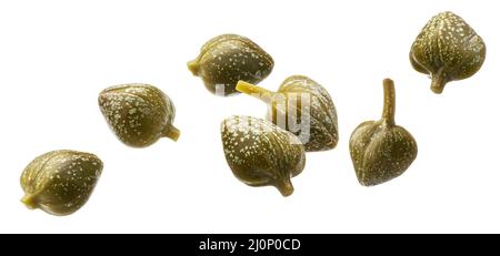 Capperi decapati isolati su sfondo bianco Foto Stock
