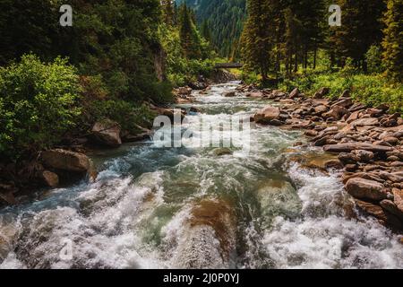 Il fiume Krimmler Ache nel Parco Nazionale degli alti Tauri in Austria. Il Krimmler Ache forma le cascate di Krimmler. Foto Stock