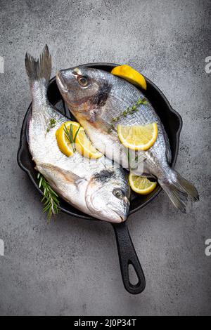 Orata di pesce crudo o dorado in padella di ghisa dall'alto Foto Stock