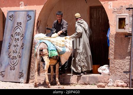 Due uomini in un abito tradizionale preparare un asino con carichi dal mercato locale in montagna atlante, marocco Foto Stock