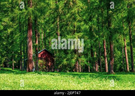 Vecchio rifugio alpino nelle Dolomiti Foto Stock