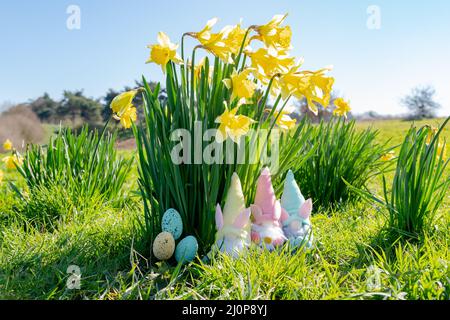 I Gonks di Pasqua e le uova di Pasqua di fronte ad alcuni daffodils selvaggi in una giornata di primavera luminosa e soleggiata Foto Stock