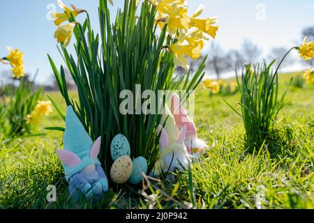 I Gonks di Pasqua e le uova di Pasqua di fronte ad alcuni daffodils selvaggi in una giornata di primavera luminosa e soleggiata Foto Stock