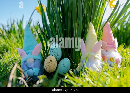 I Gonks di Pasqua e le uova di Pasqua di fronte ad alcuni daffodils selvaggi in una giornata di primavera luminosa e soleggiata Foto Stock
