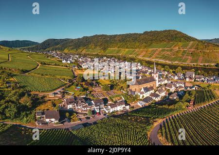 Panoramic view of the Moselle vineyards near Bruttig-Fankel Stock Photo