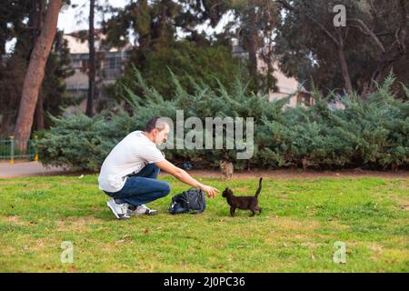 Il ragazzo ha incontrato gattini nel giardino che vuole accarezzare. Foto Stock