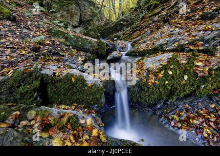 Piccola cascata nella riserva naturale di Bommecketal in autunno, Plettenberg, Germania, Europa Foto Stock