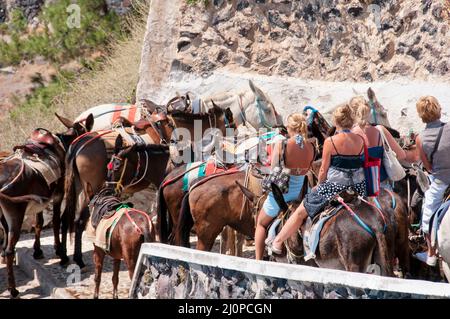 Vista posteriore di un gruppo di turisti sugli asini di trasporto in estate sull'isola di Santorini Grecia Foto Stock