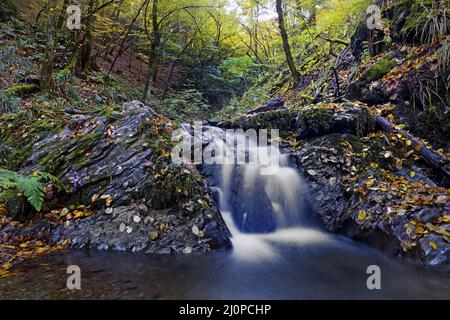 Small waterfall in the Bommecketal nature reserve in autumn, Plettenberg, Germany, Europe Stock Photo