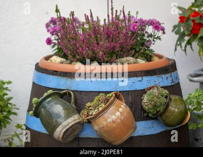 Vecchio barile di legno usato come un flowerpot. Fiori in fiore. Vintage. Dettaglio. Foto Stock